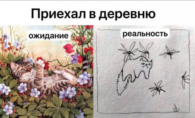 Веселые картинки