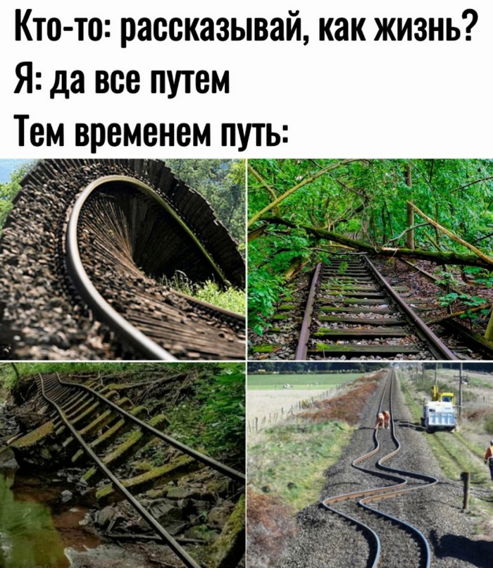 Веселые картинки