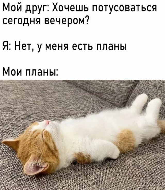 Смешные картинки