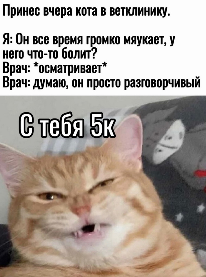 Смешные картинки