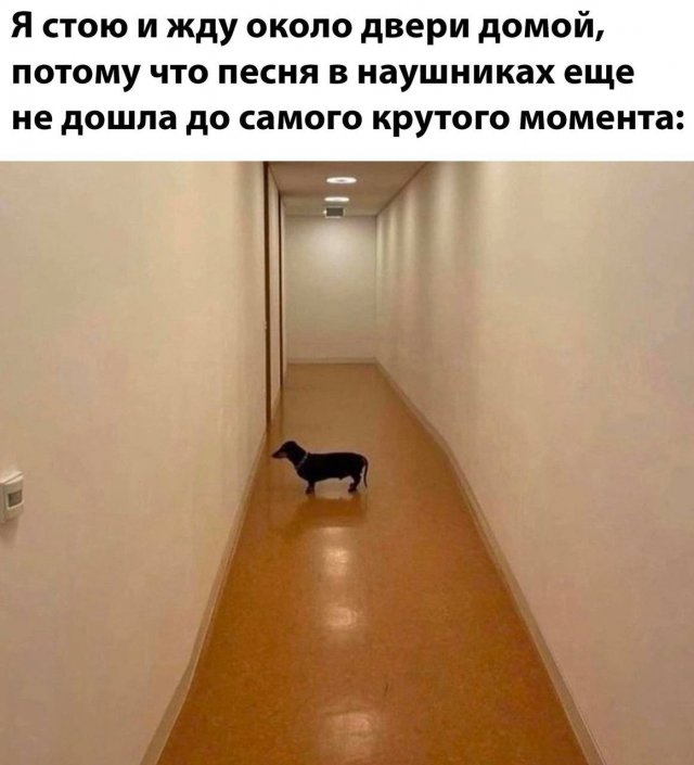 Смешные картинки