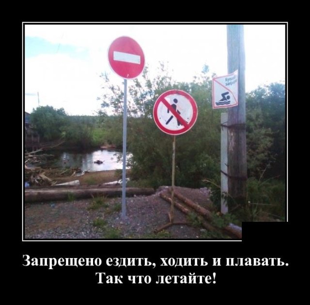 Демотиваторы дня