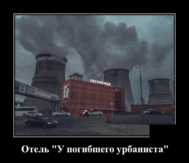 Демотиваторы дня