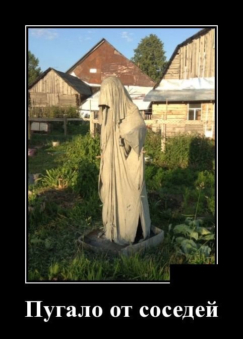 Демотиваторы дня