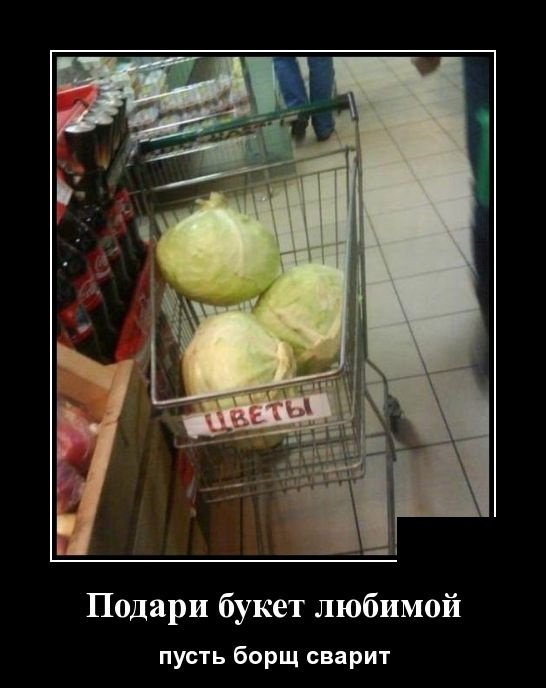 Демотиваторы дня