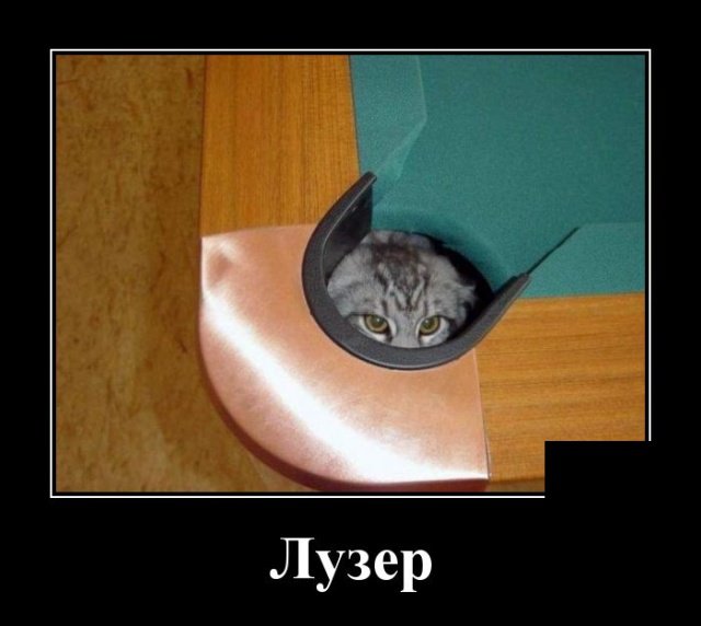 Демотиваторы дня