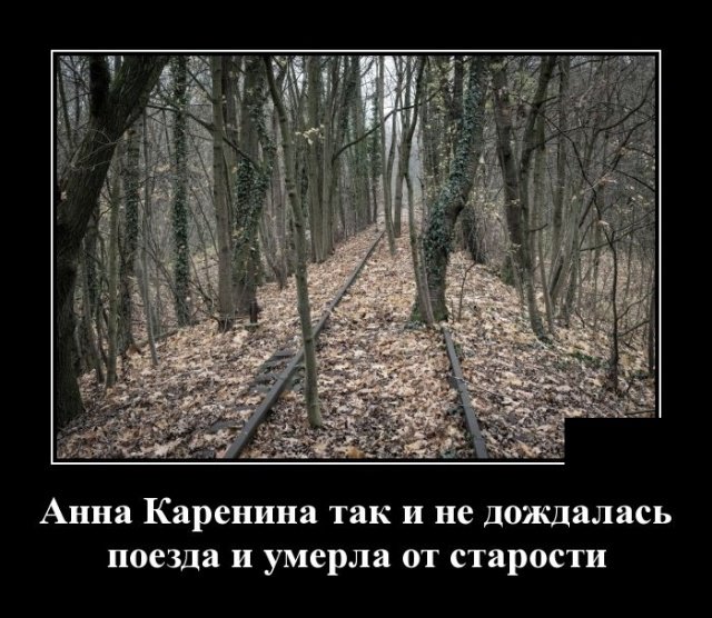 Демотиваторы дня