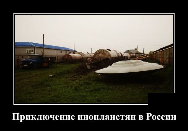 Демотиваторы дня