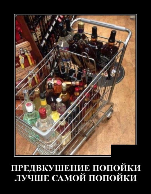 Демотиваторы дня