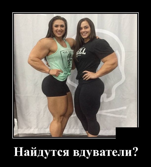 Демотиваторы дня