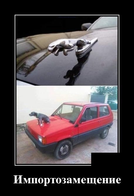 Демотиваторы дня