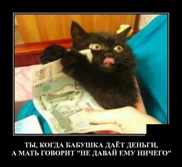 Демотиваторы дня
