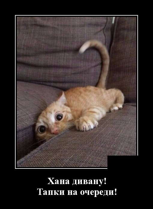 Смешные демотиваторы