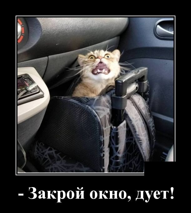 Смешные демотиваторы