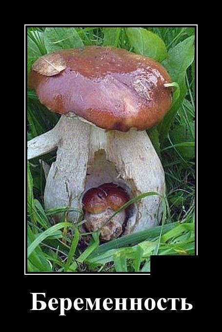 Смешные демотиваторы