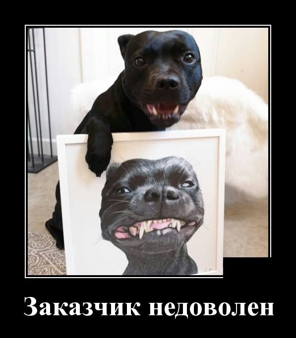 Смешные демотиваторы