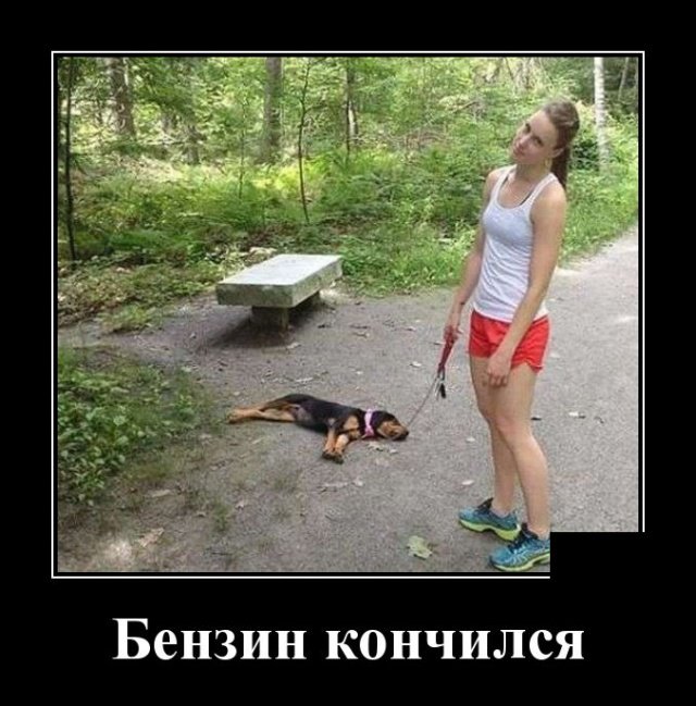 Смешные демотиваторы