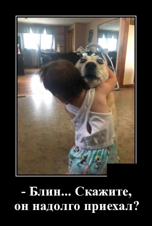 Веселые демотиваторы