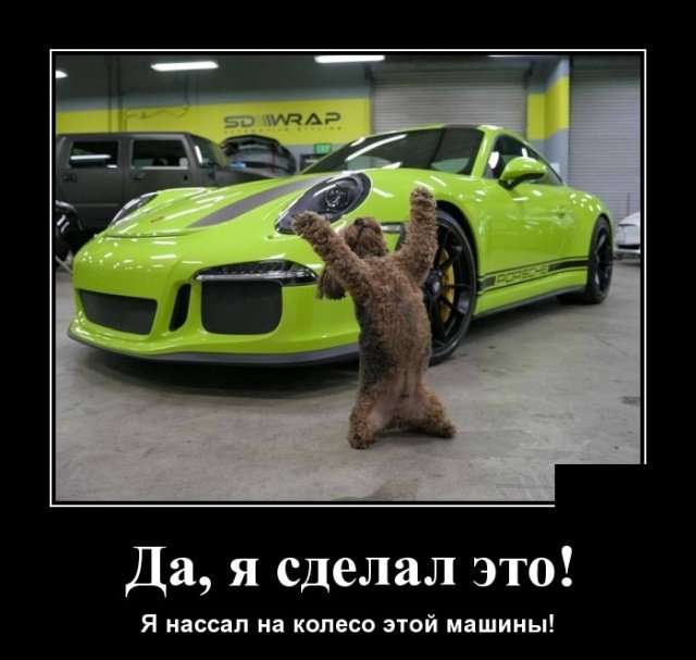 Веселые демотиваторы