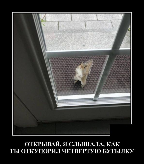 Веселые демотиваторы