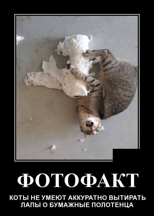 Веселые демотиваторы