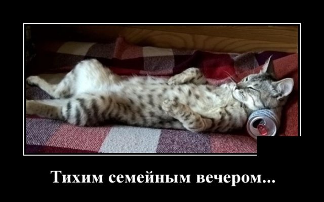 Веселые демотиваторы