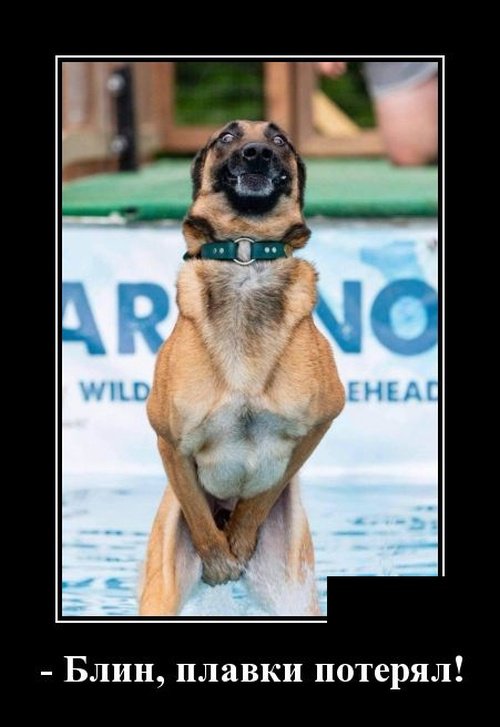 Веселые демотиваторы