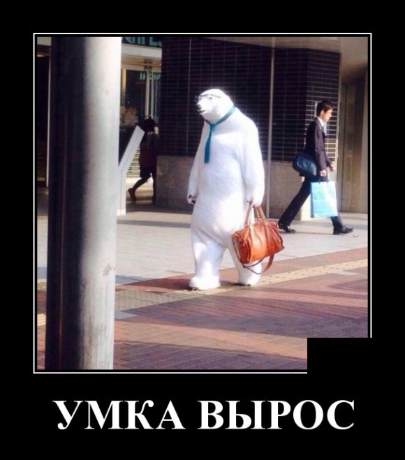 Веселые демотиваторы