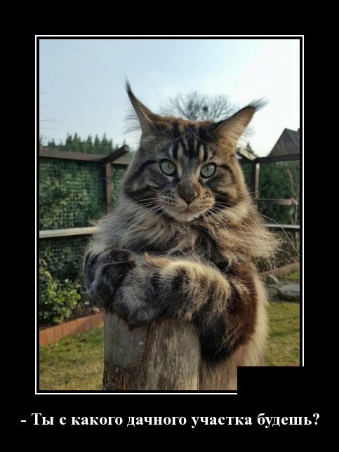 Веселые демотиваторы