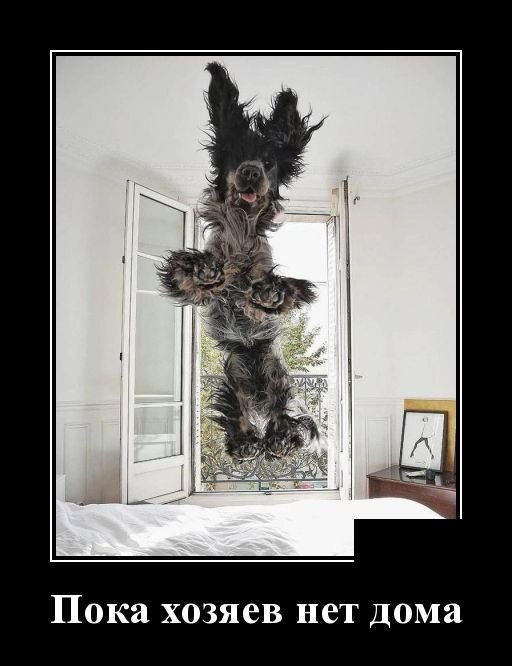 Веселые демотиваторы