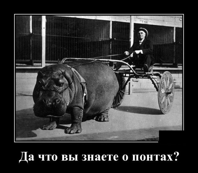 Веселые демотиваторы