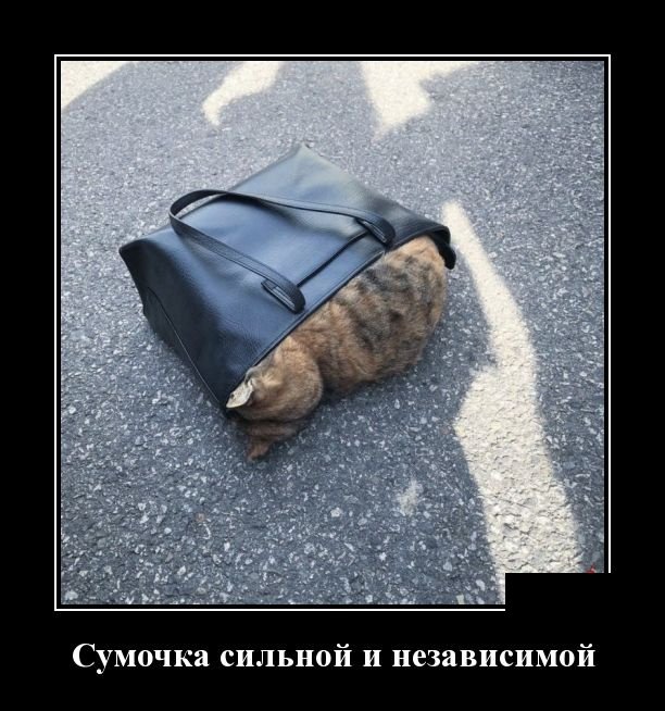 Веселые демотиваторы