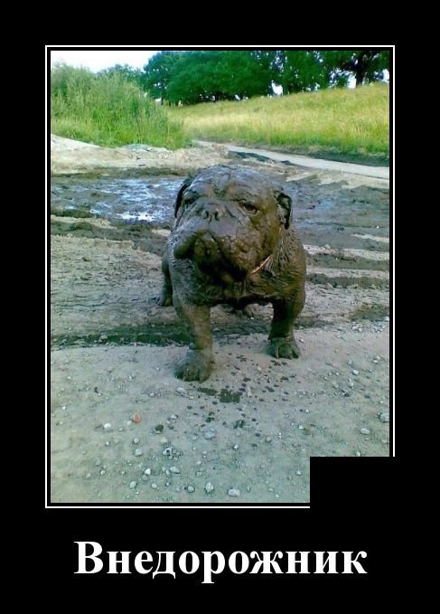 Веселые демотиваторы