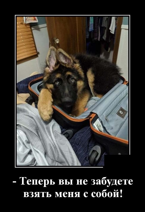 Веселые демотиваторы