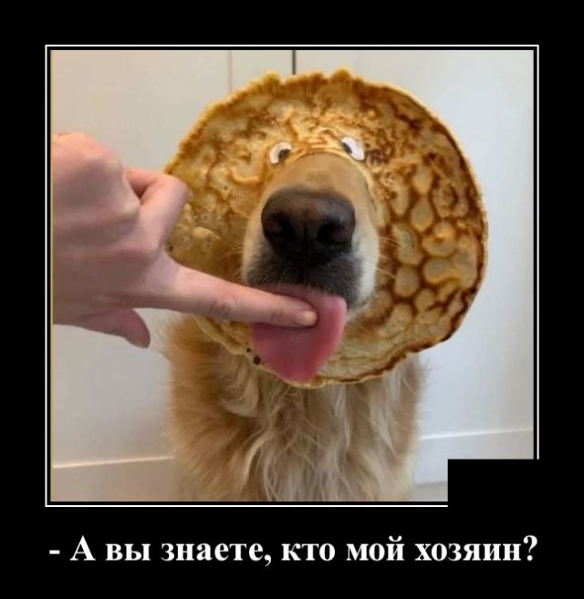 Смех сквозь пиксели: