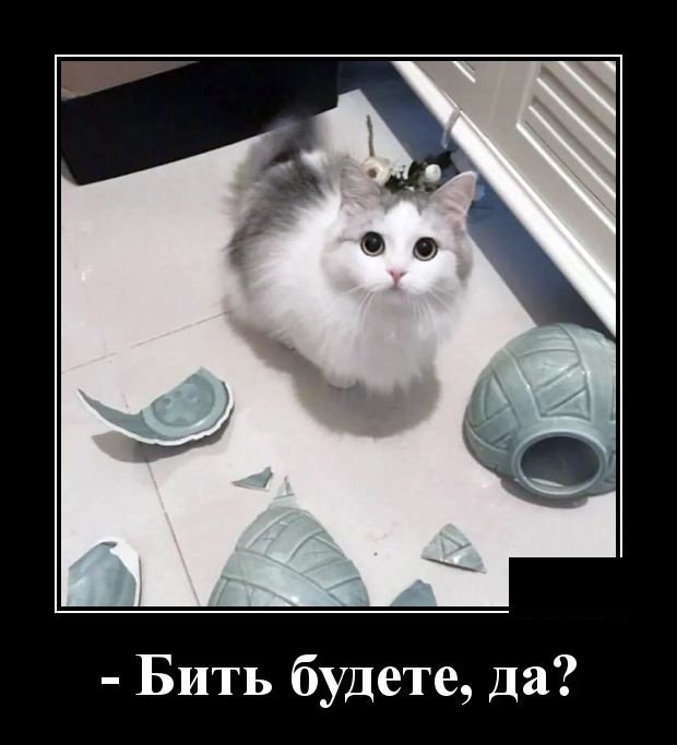 Смех сквозь пиксели: