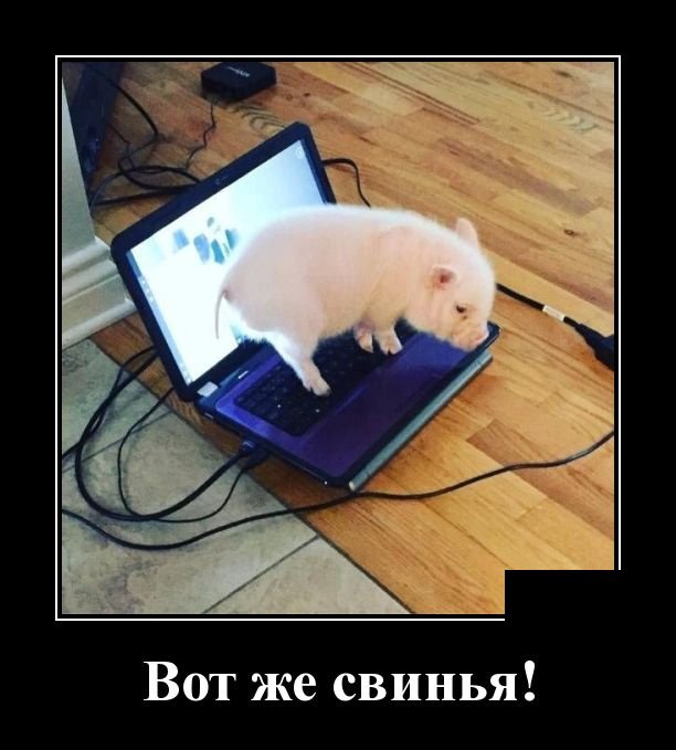 Смех сквозь пиксели: