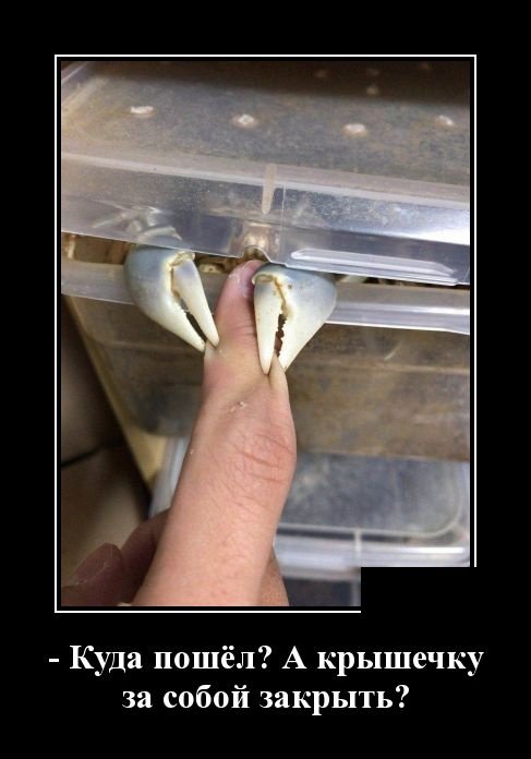 Смех сквозь пиксели: