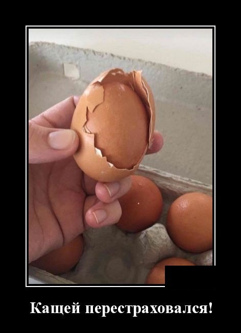 Смешные картинки в демотиваторах