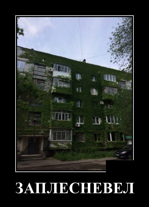 Смешные картинки в демотиваторах