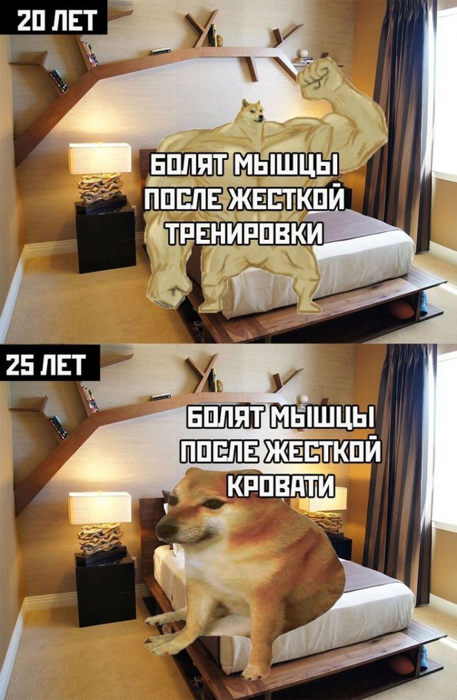 Весёлые мемы на ЯЗнал