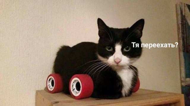 Весёлые мемы на ЯЗнал