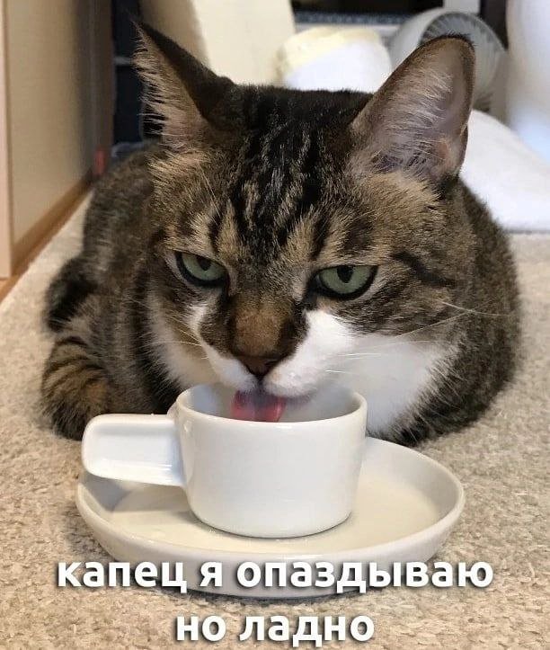 Весёлые мемы на ЯЗнал