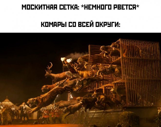 Весёлые мемы на ЯЗнал