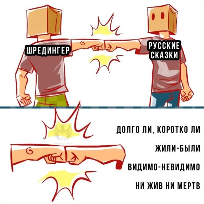 Смешные картинки для настроения