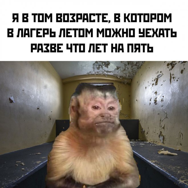 Смешные картинки для настроения