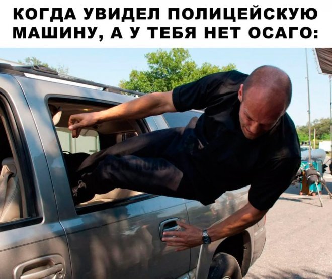 Смешные картинки для настроения