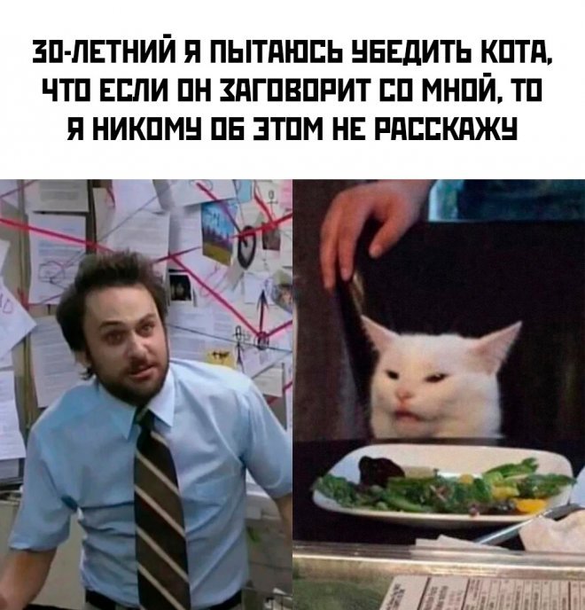 Смешные картинки для настроения