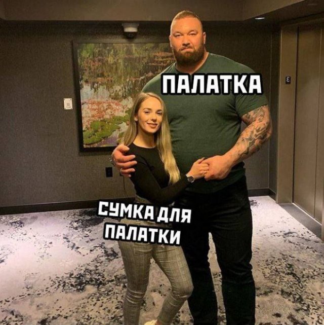 Смешные картинки для настроения