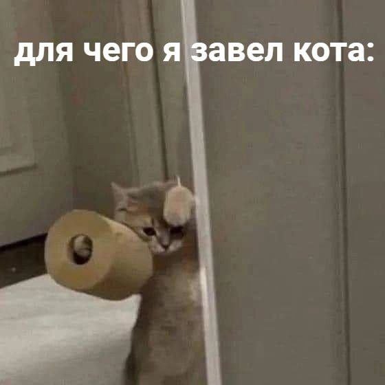 Смешные картинки для настроения